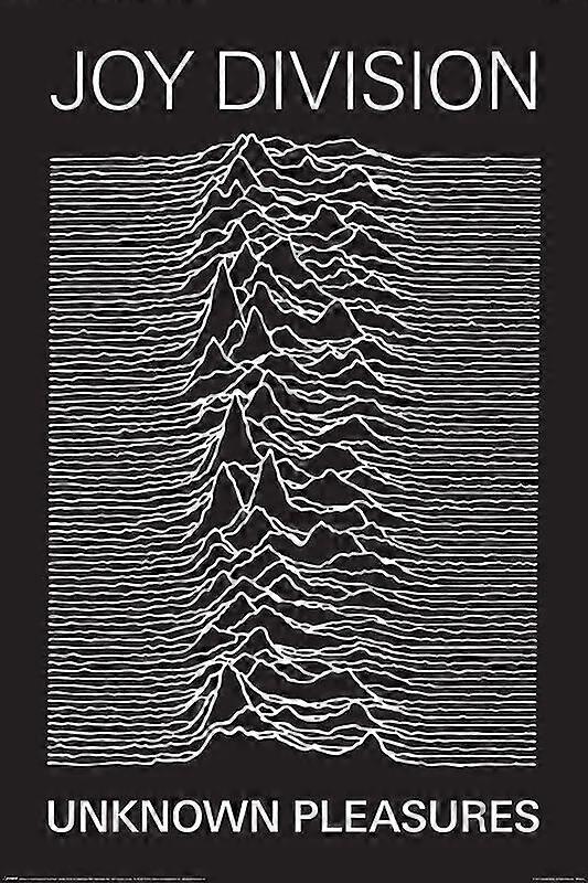 JOY DIVISION - UNKNOWN PLEASURESStress Reliever Jigsaw Puzzle P0576