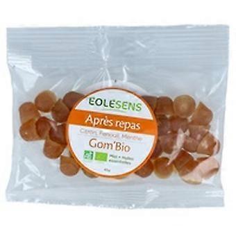 Organic Gom'Bio After Meal Refill 45 g (Mint)