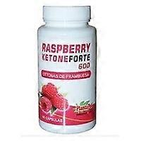Raspberry Forte 600 Ketone 60 capsules
