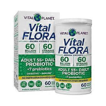 VitalPlanet Vital Flora Adult 55 Plus Daily Probiotic ,60 Billion Cultures ,60 Veg Caps (Pack of 1)