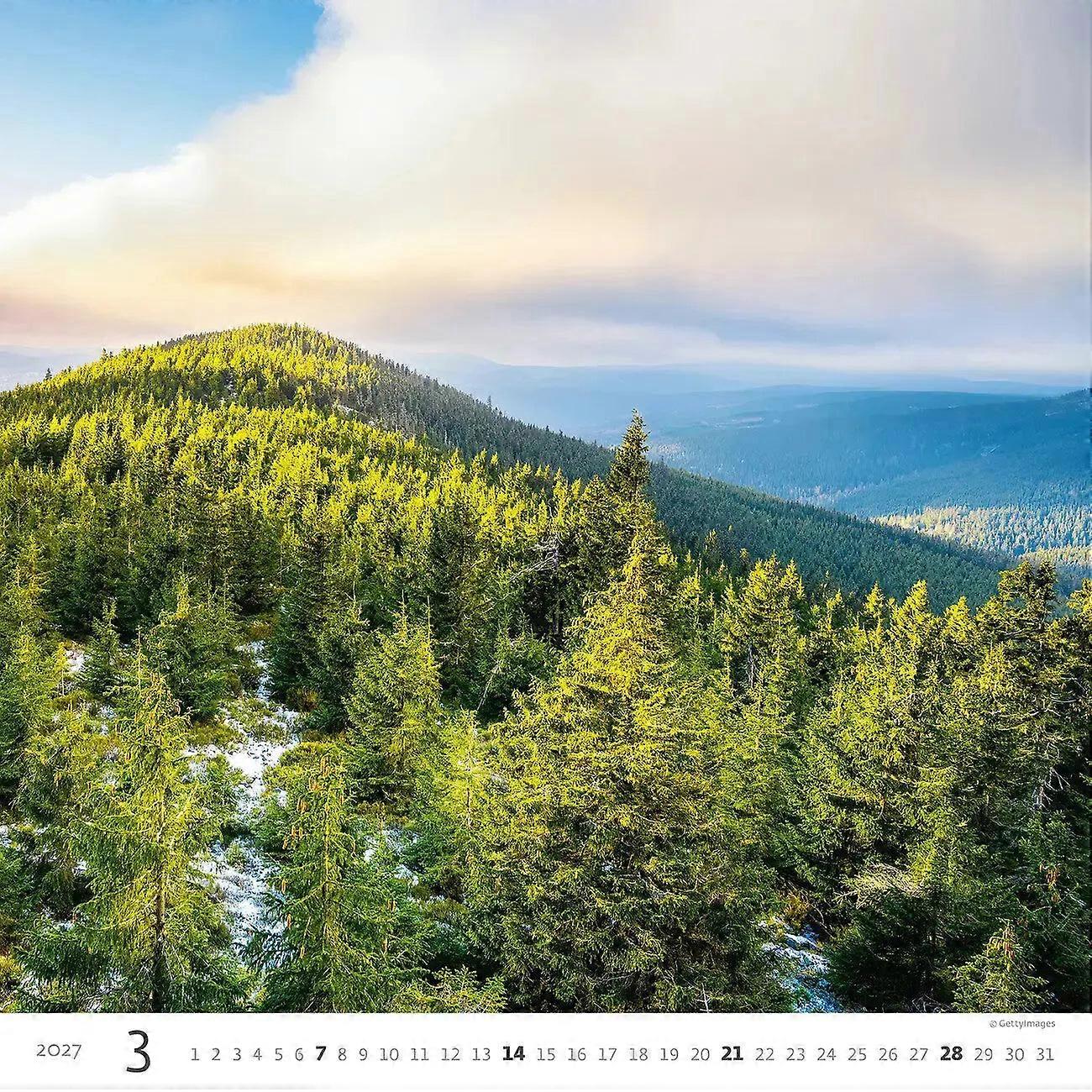 Forest Calendar 2027