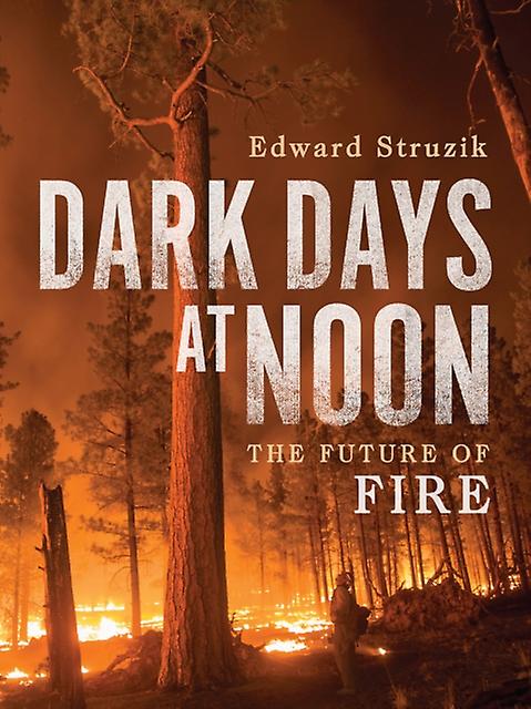 Dark Days At Noon by Edward Struzik Paperback Book