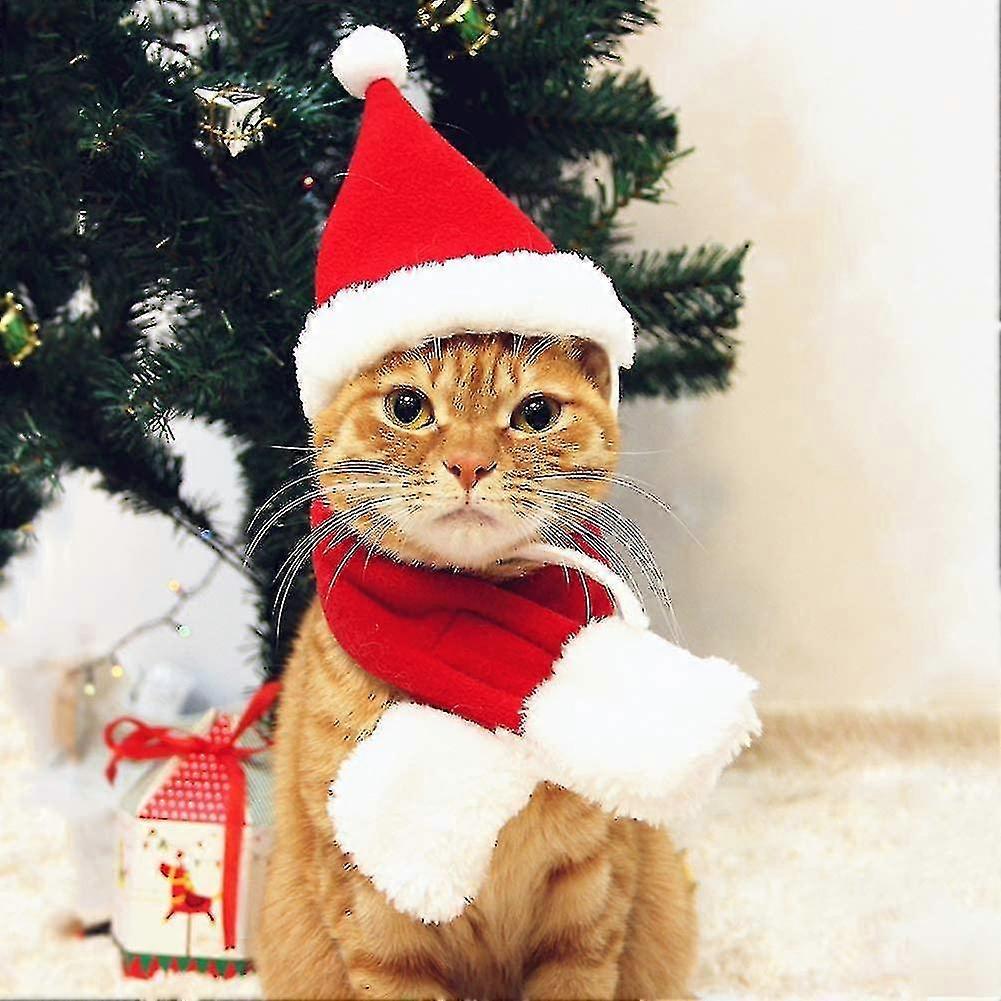 Cat Santa Hat With Scarf -christmas Costume Set Puppy Dog Cat Santa Hat