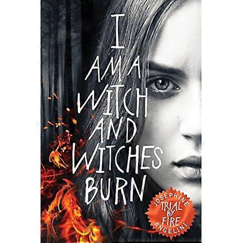 Trial By Fire (The Worldwalker Trilogy)