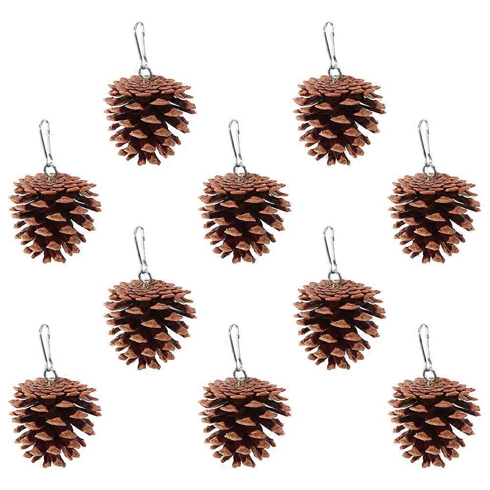 Lovely Pet Chewing Toy for Birds – Natural Pine Cone Hanging Toy for Parrots, Macaws & Other Birds to Chew and Play