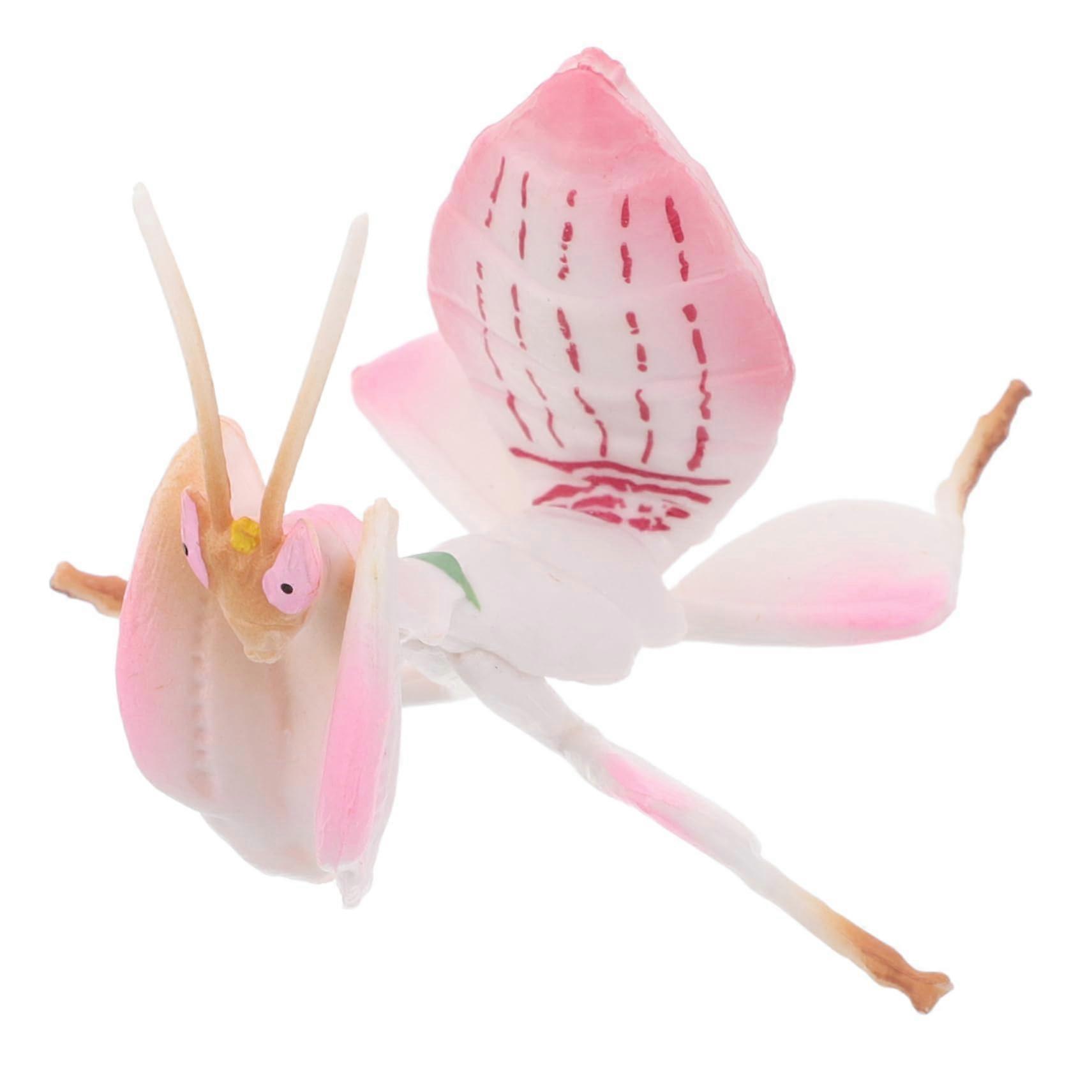 Realistic Mantis Model Educational Insect Figure Classroom Use Home Learning Desktop Display