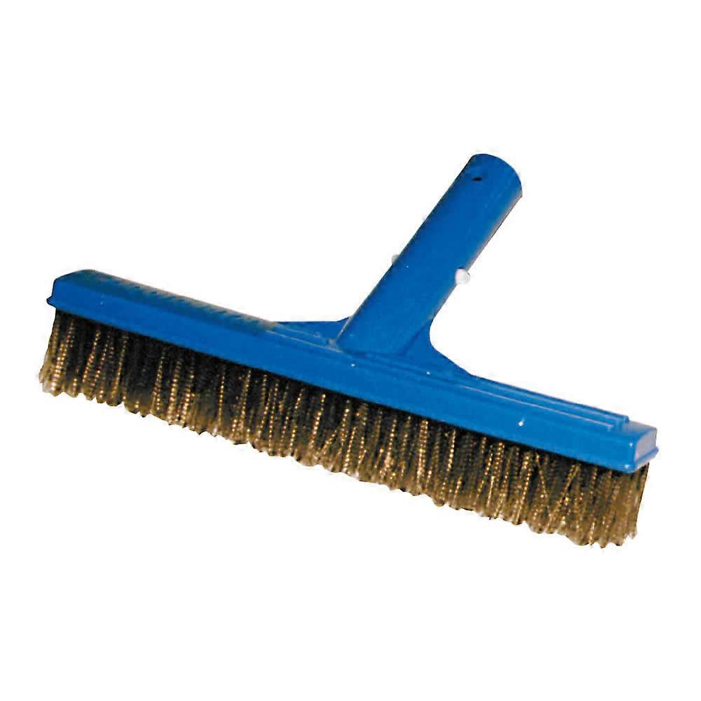 Plastica 10in Algae Brush with SSteel bristles
