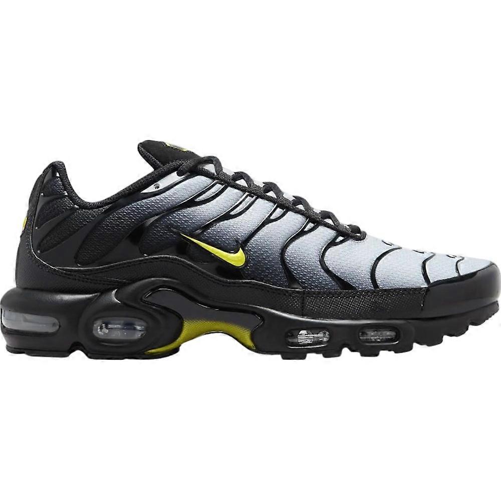 Shoes Nike Air Max Plus DM0032012
