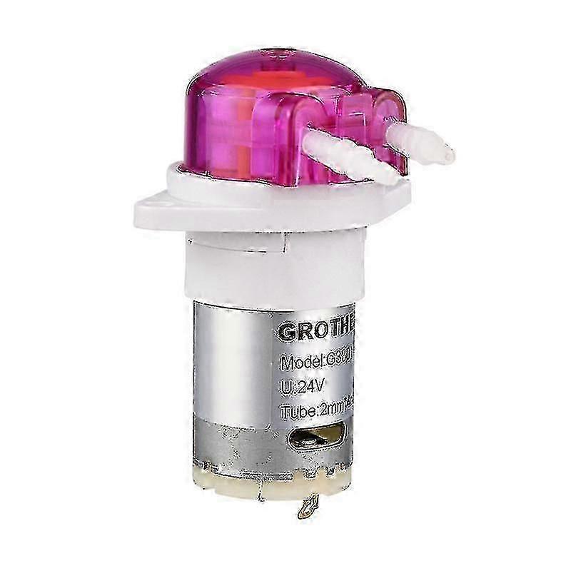 Peristaltic Pump Dosing Pump Mini Pump Liquid Self-priming Water Pumpr