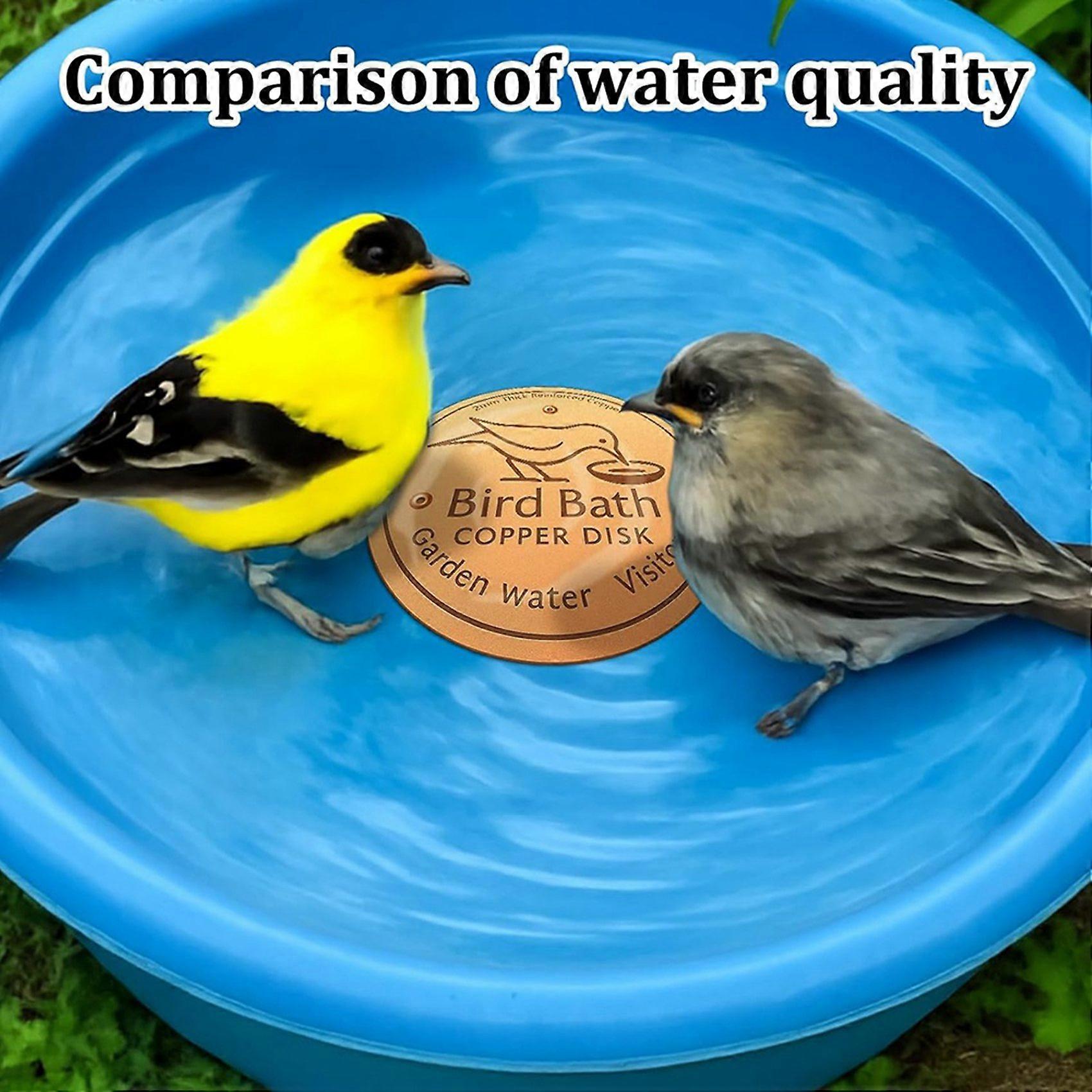 2X Bird Bath Copper Disk for Efficient Water Purification, Natural Algae Reduction