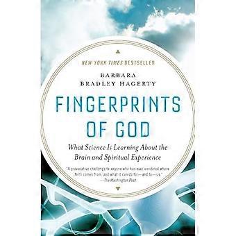 Fingerprints Of God What Science Is Learning About The Brain And Spiritual Exper - Barbara Bradley Hagerty - Paperback - en Book
