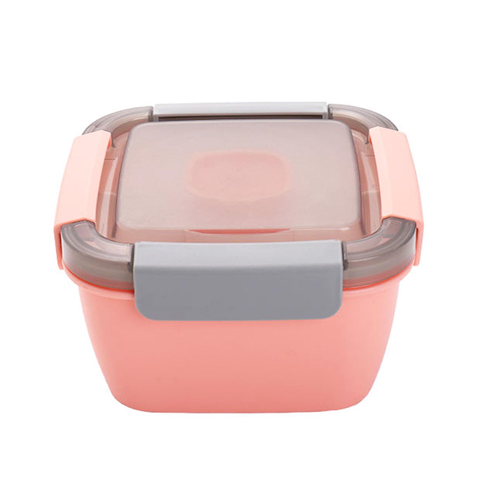 Double Layer Plastic Lunch Boxes Practical Reusable Lunch Box
