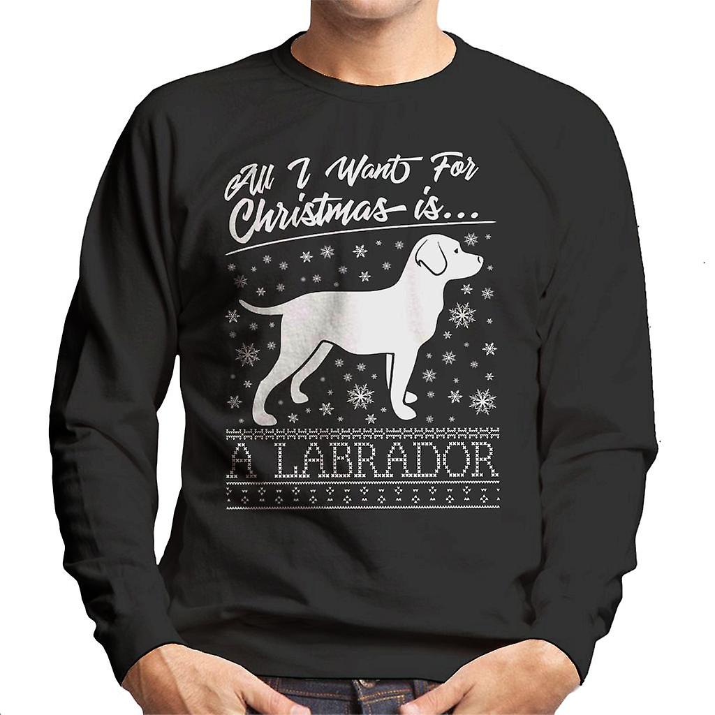 All I Want For Christmas Is A Labrador Knit Pattern Men's Sweatshirt