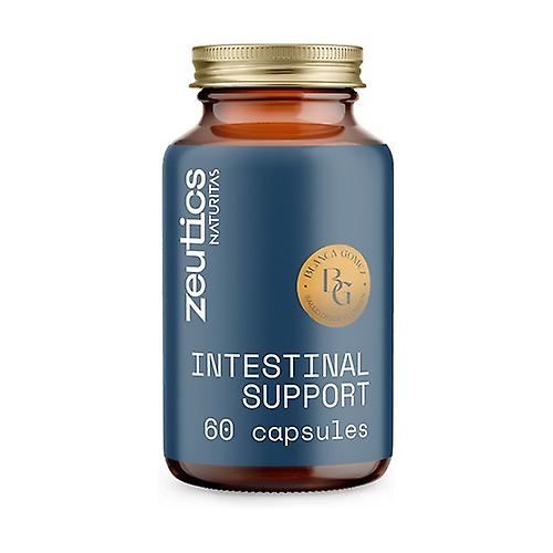 Intestinal support 60 capsules