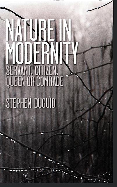 Nature In Modernity by Stephen Duguid Hardback Book