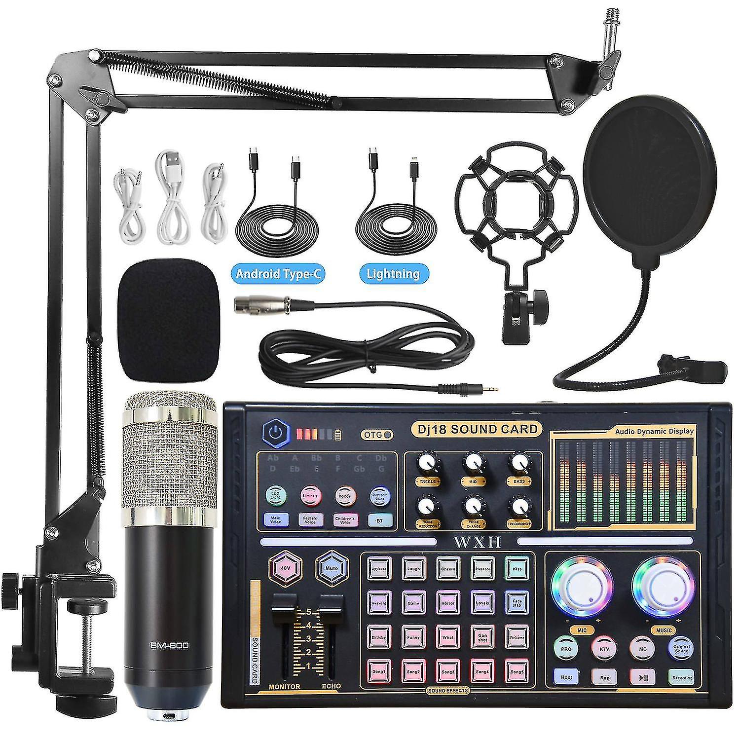 Professional Studio Audio Kit Microphone Sound Card Tuning Equipment - Black