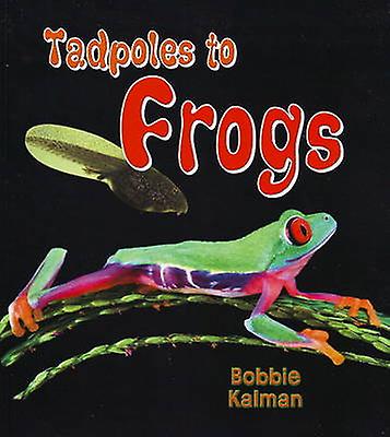 Tadpoles to Frogs