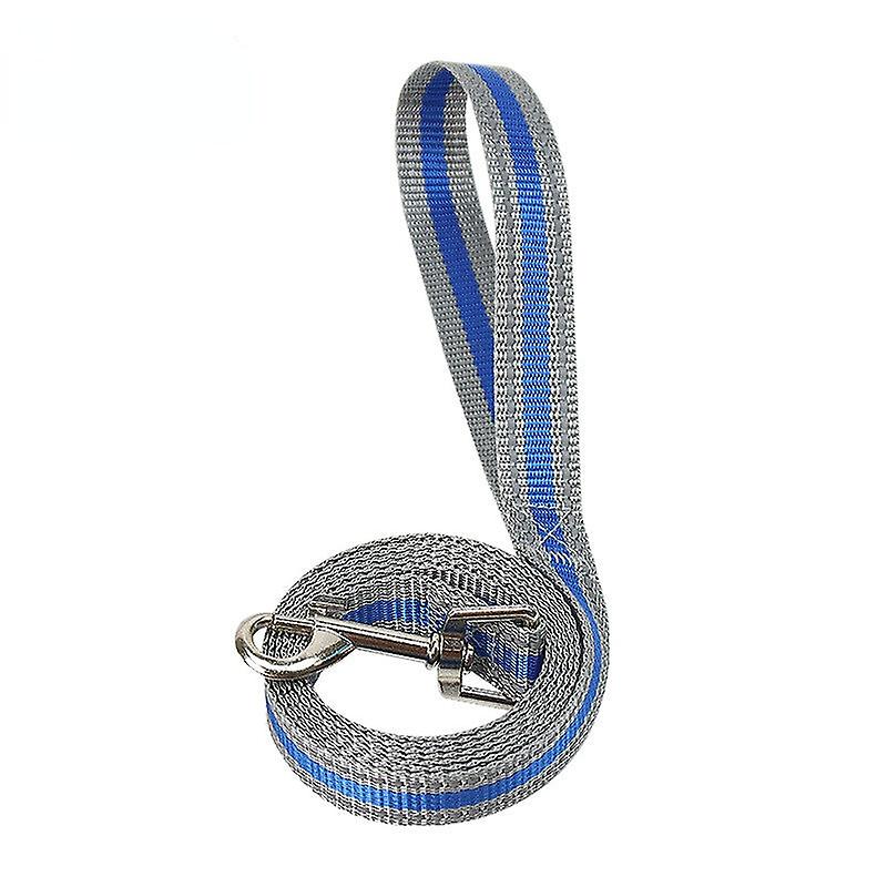 Chien main tenant corde multicolore allongé réfléchissant chien corde voyage nocturne chien laisse chien chaîne