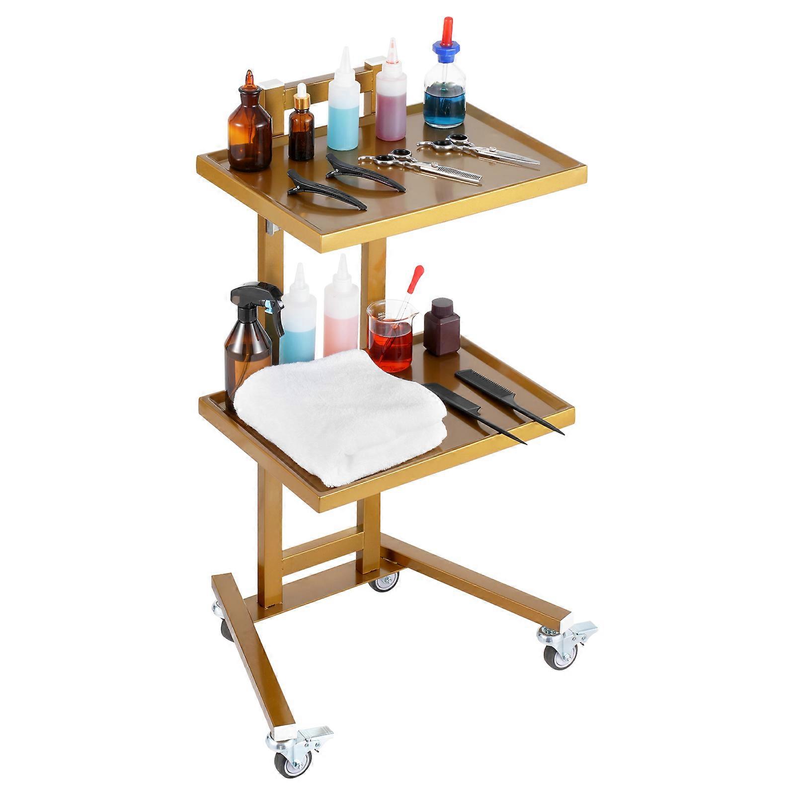 2 Tiers Stainless Steel Lab Carts, Lab Utility Cart with 2 Trays, Mobile Medical Cart with 4 Silent Wheels, Lab Rolling Cart