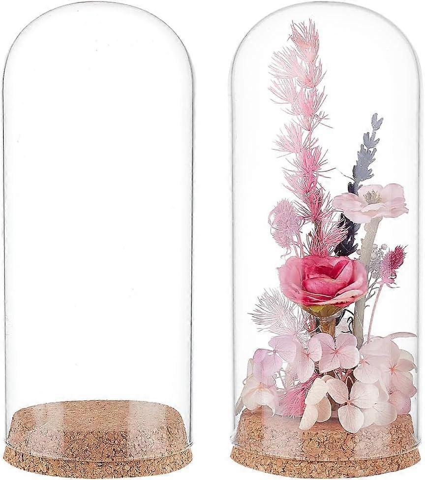 2pcs Glass Display Dome Cloche 3.1x7.8 inch Glass Bell Jar with Cork Base Glass Bottles Decorative Jars for Flower Plants Specimens Crafts Decorations