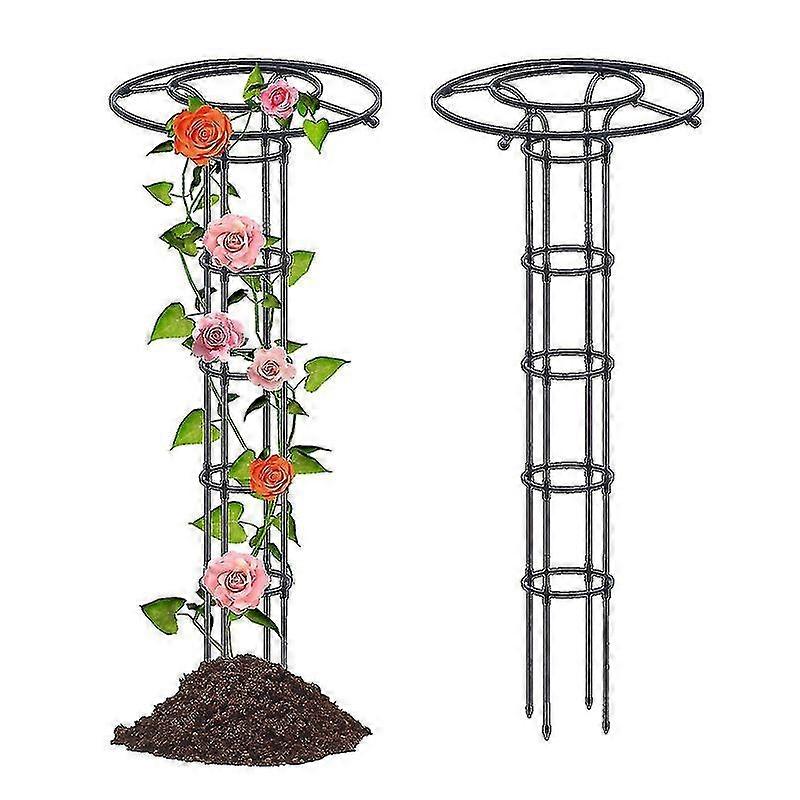 Garden Trellis For Support Plants