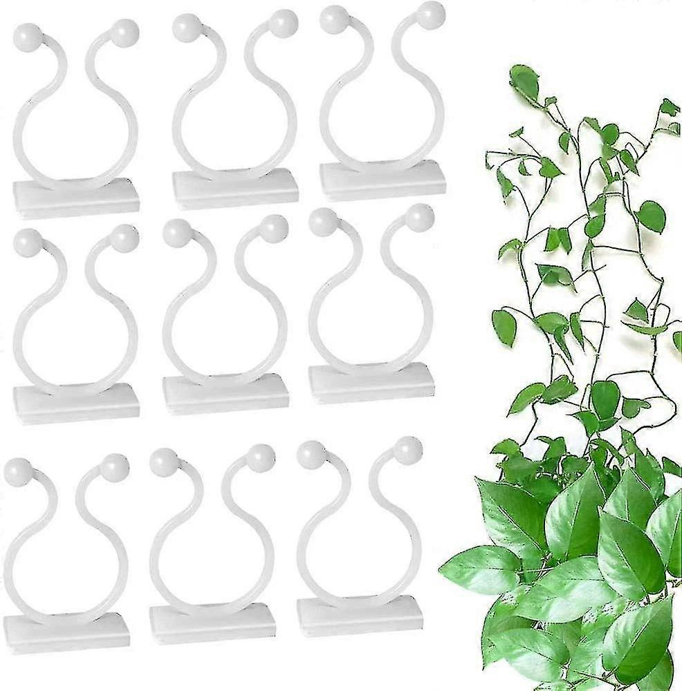100 osaa kiipeilylaitoksen tukikiinnikkeitä, itseliimautuva kasvikoukku, kiipeilylaitoksen seinäkiinnikkeet, puutarhaviiniköynnöksille, työpöydän kiinnityskaapeli