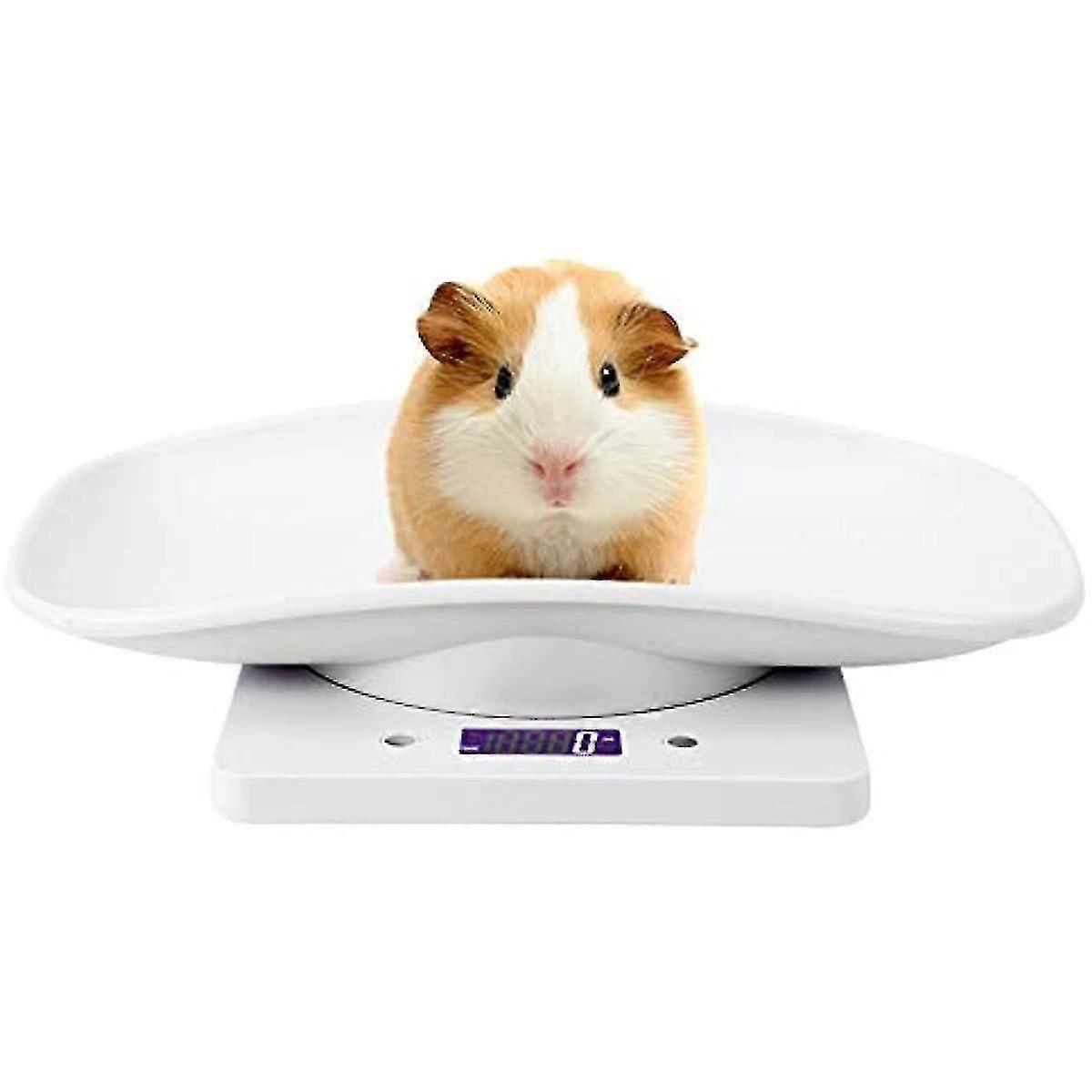 Estink Digital Pet Scale 4 modes de pondération (ozmllbg) Pour mesurer la capacité alimentaire des chiens jusqu’à 10 kg avec une précision de 1 g