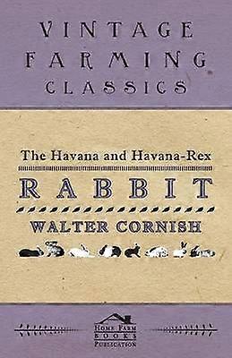 La Havane et La Havane Lapin Rex