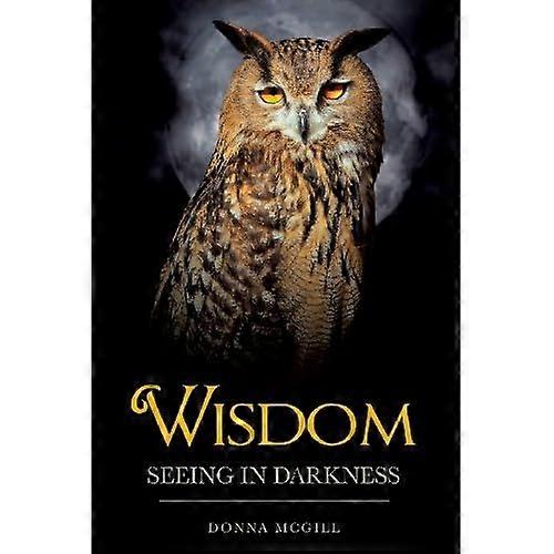 Wisdom Seeing in Darkness