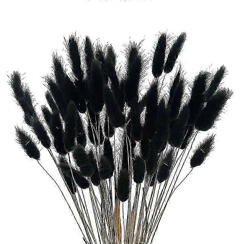 60Pcs Fleurs Séchées Lapin Fleurs Séchées Lagurus Ovatus Lapin Queue Herbe Pour Séché (Noir)