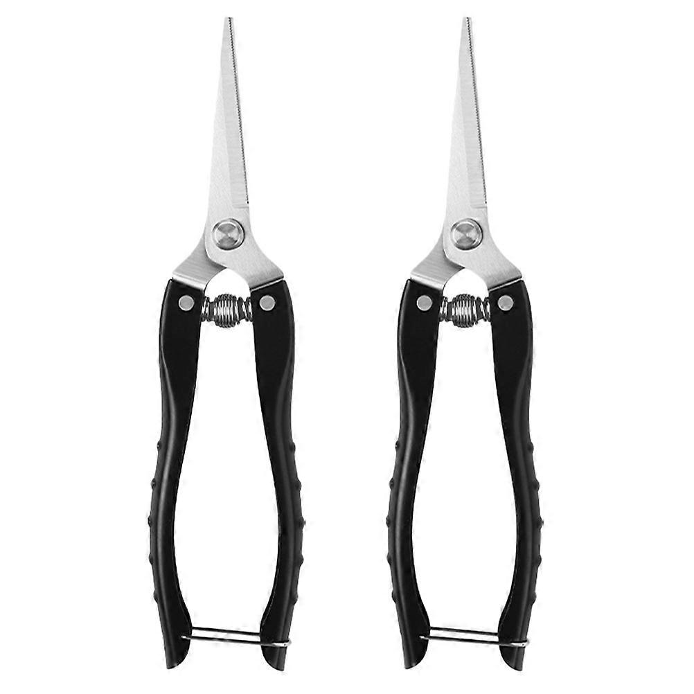 Shears for Gardening, Sleek Design for Precision and Control