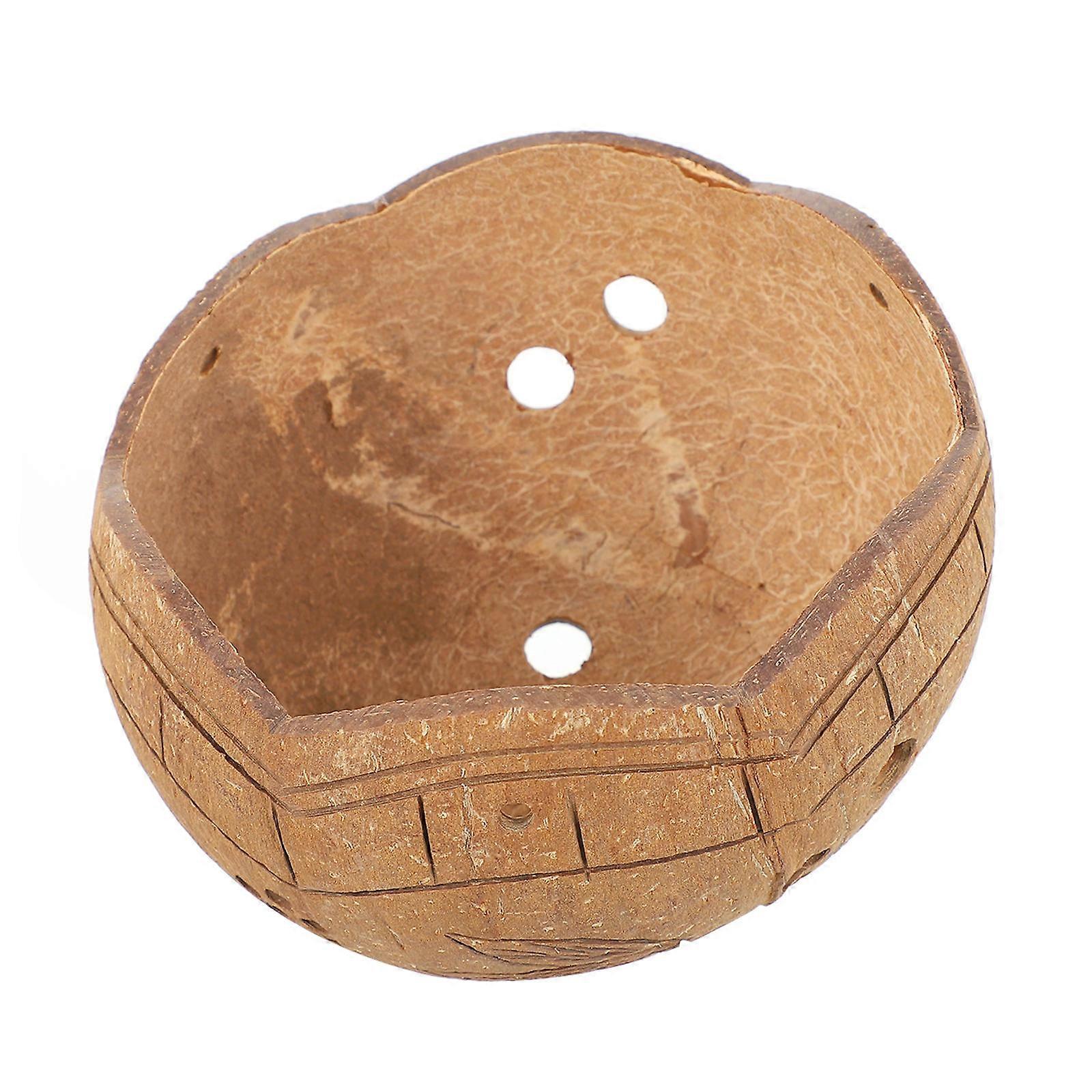 Small Bonsai Pot Coconut Shells Decorative Flowerpot For Windowsill Round Shape 1Set