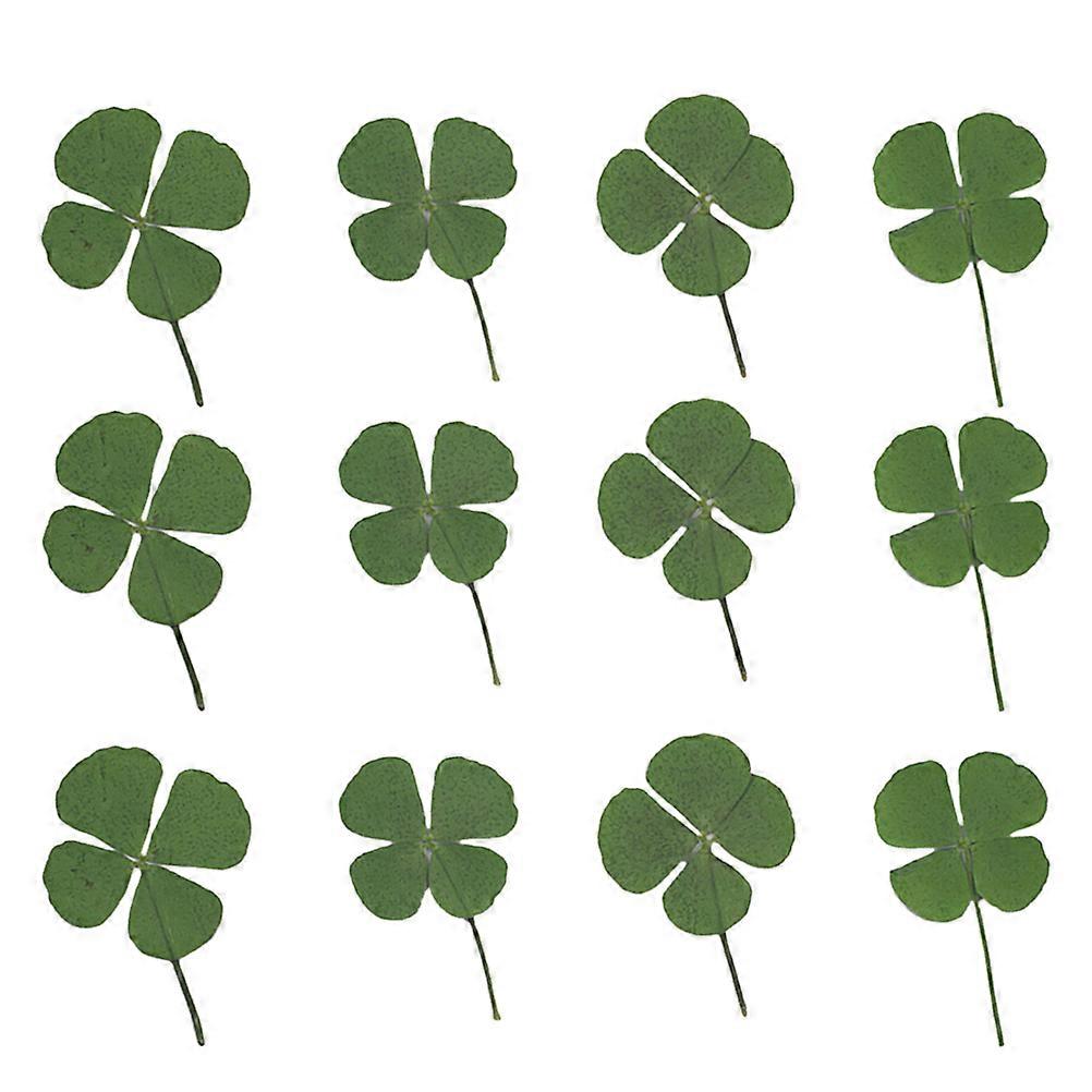 Dried Four Leaf Jewelry Materials for DIY Use 36Pcs