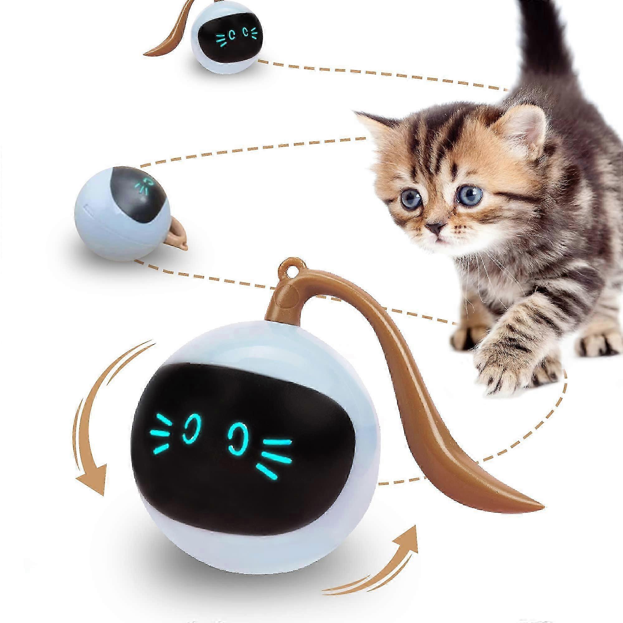 Interactive Cat Toy, Automatic Cat Ball, SelfRolling Cat Toy, USB Rechargeable, Kitten Toy
