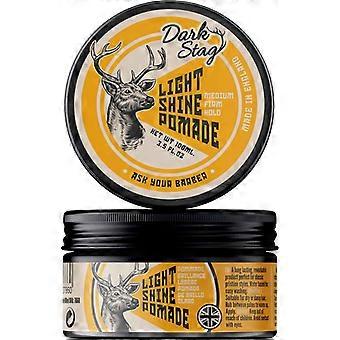 Light Shine Pomade 100ml