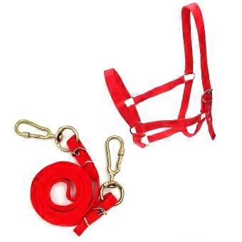Nylon Equine Headcollar with Adjustable Halter Strap and Snap-Hook Hardware for Routine Leading and Horse Handling  Red