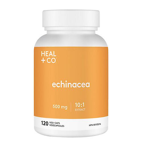 Heal + Co. Echinacea,500mg,120 VegCaps