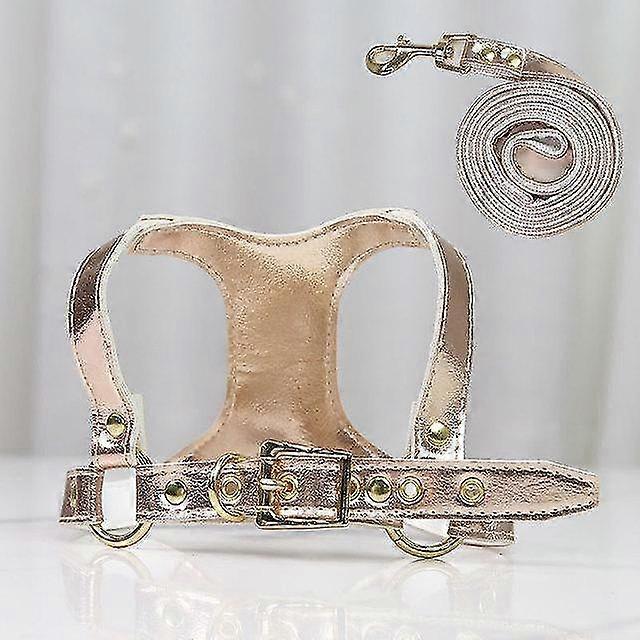 Soft Leather Dog Collar and Leash Set Adjustable Lengths Leash for Small Medium Large Dogs Size S