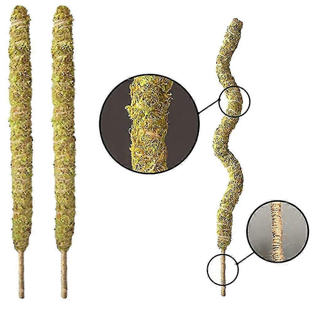 Bendable Pole For Plants A Plant Stakes Growing Upwards