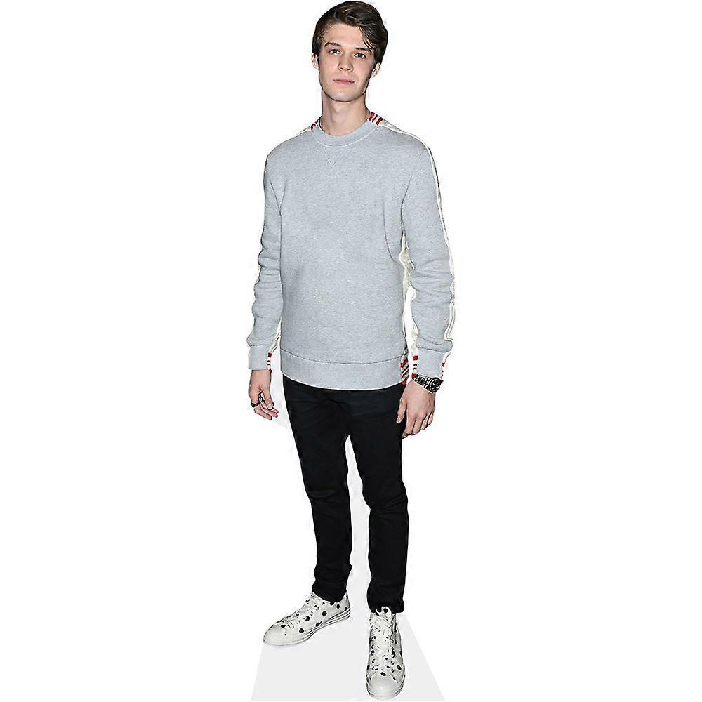 Colin Ford (Jumper) Cardboard Cutout (lifesize OR mini size). Standee. Stand Up.