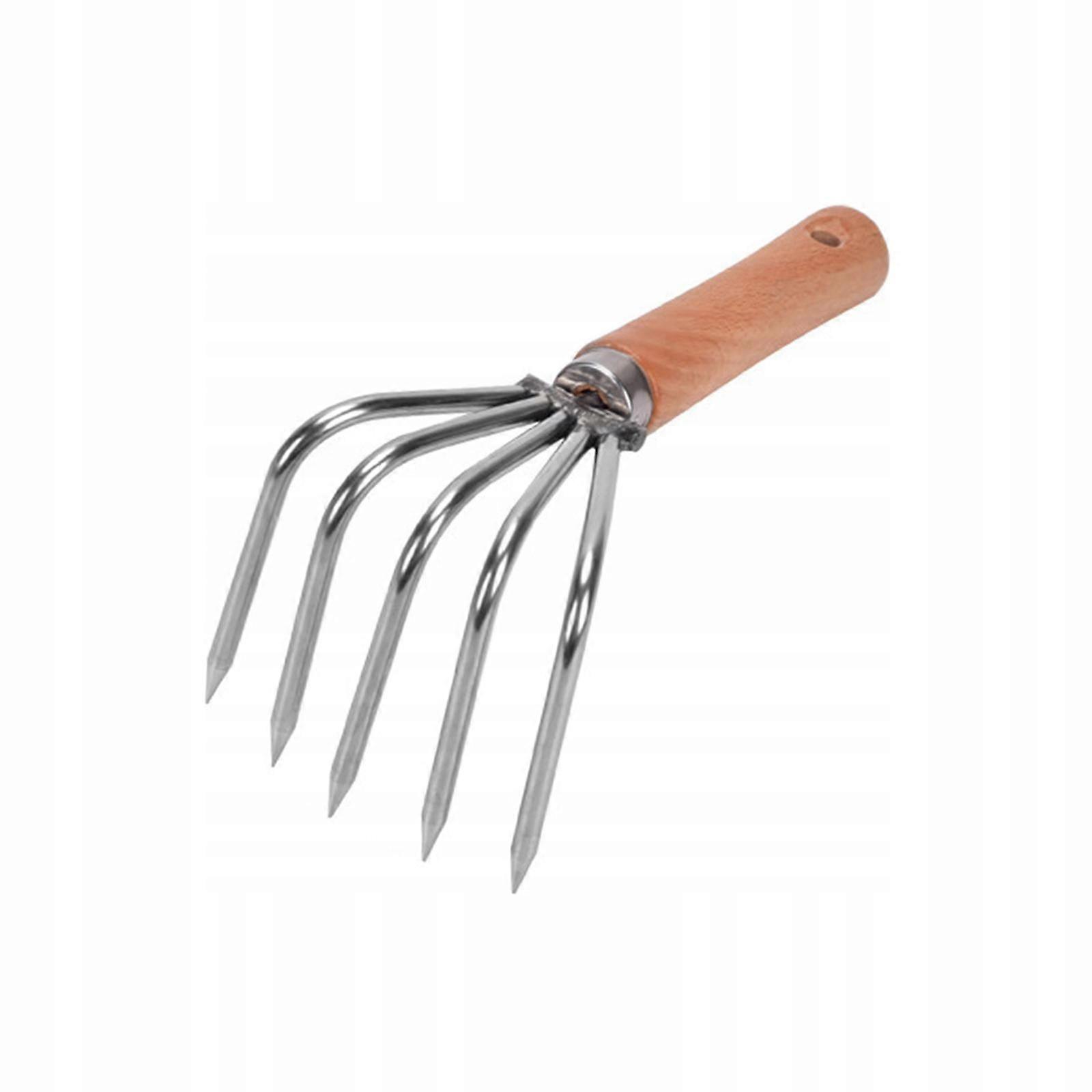 Hand Rake Wooden Handle Short Handle 5