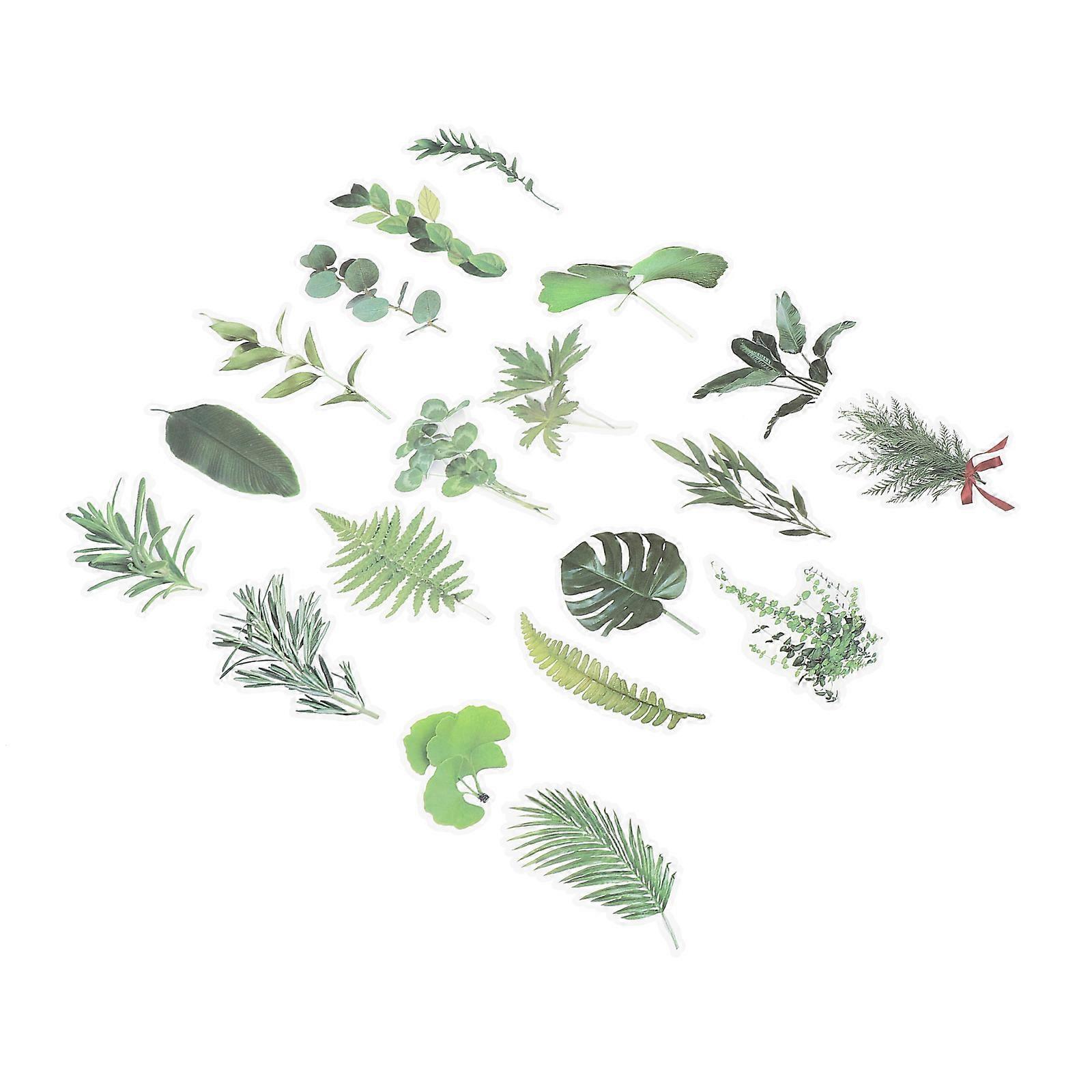 Plants Scrapbook Stickers 5 Sets Vintage Style Suitable For Scrapbooks Gift Boxes 6.1x3.1in DIY