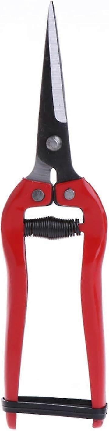 Manual Hand Pruning Shears for Plant Trimming Garden Flower Branch Scissors Gardening Tool