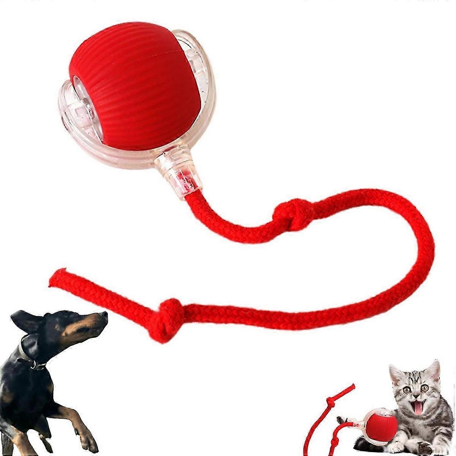 Interactive Cat Toys Rolling Ball grey