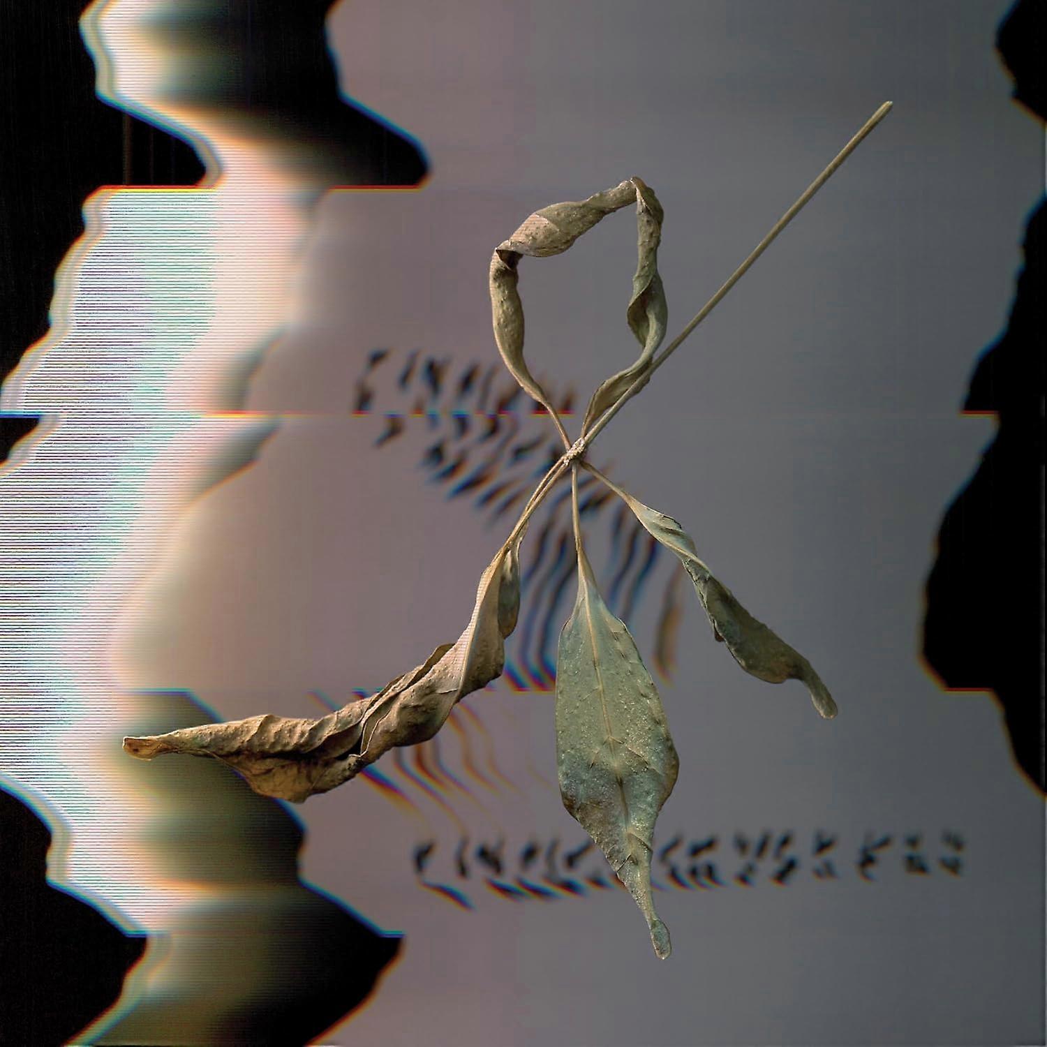 T. Gowdy - Trill Scan [VINYL]