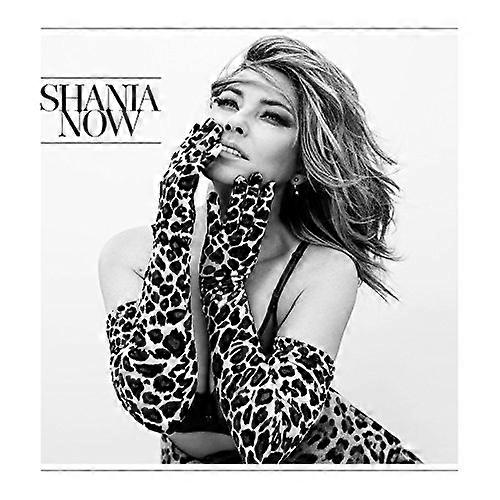 Shania Twain - Now [CD]