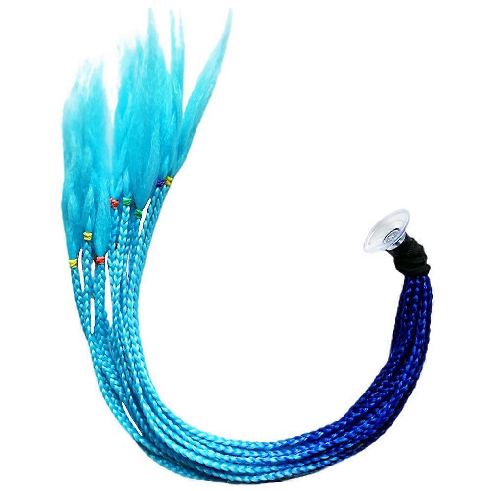 Ponytail Replaceable Braid for Decoration 5Pcs Multicolor Pack