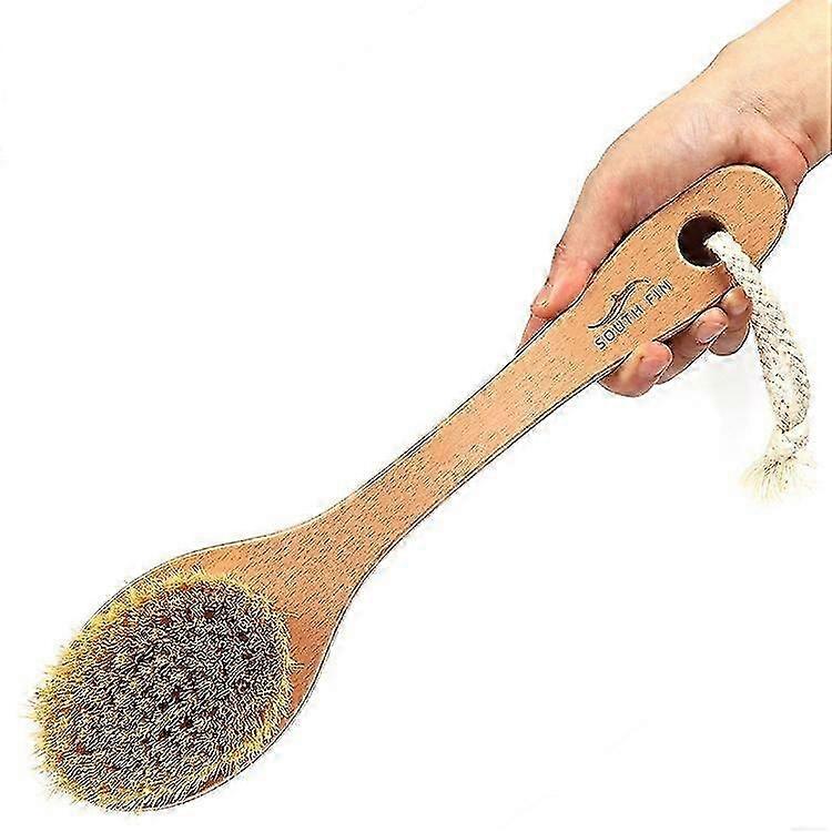 Cactus Long Handle brush 25-26