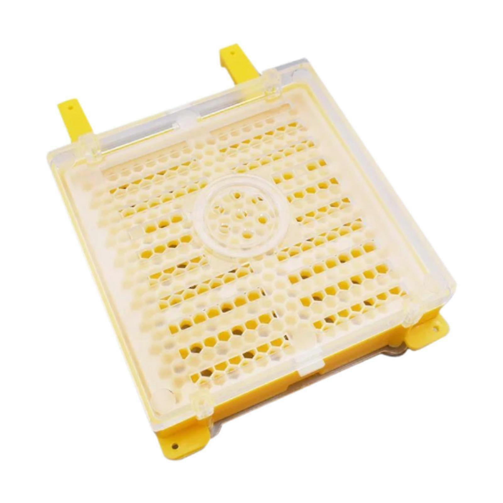 25-26 Beekeeping Grafting Set Beekeeping Tools Easy Use Cell Cups Efficient Yellow