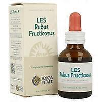 LES Rubus Fructicosus 50 ml